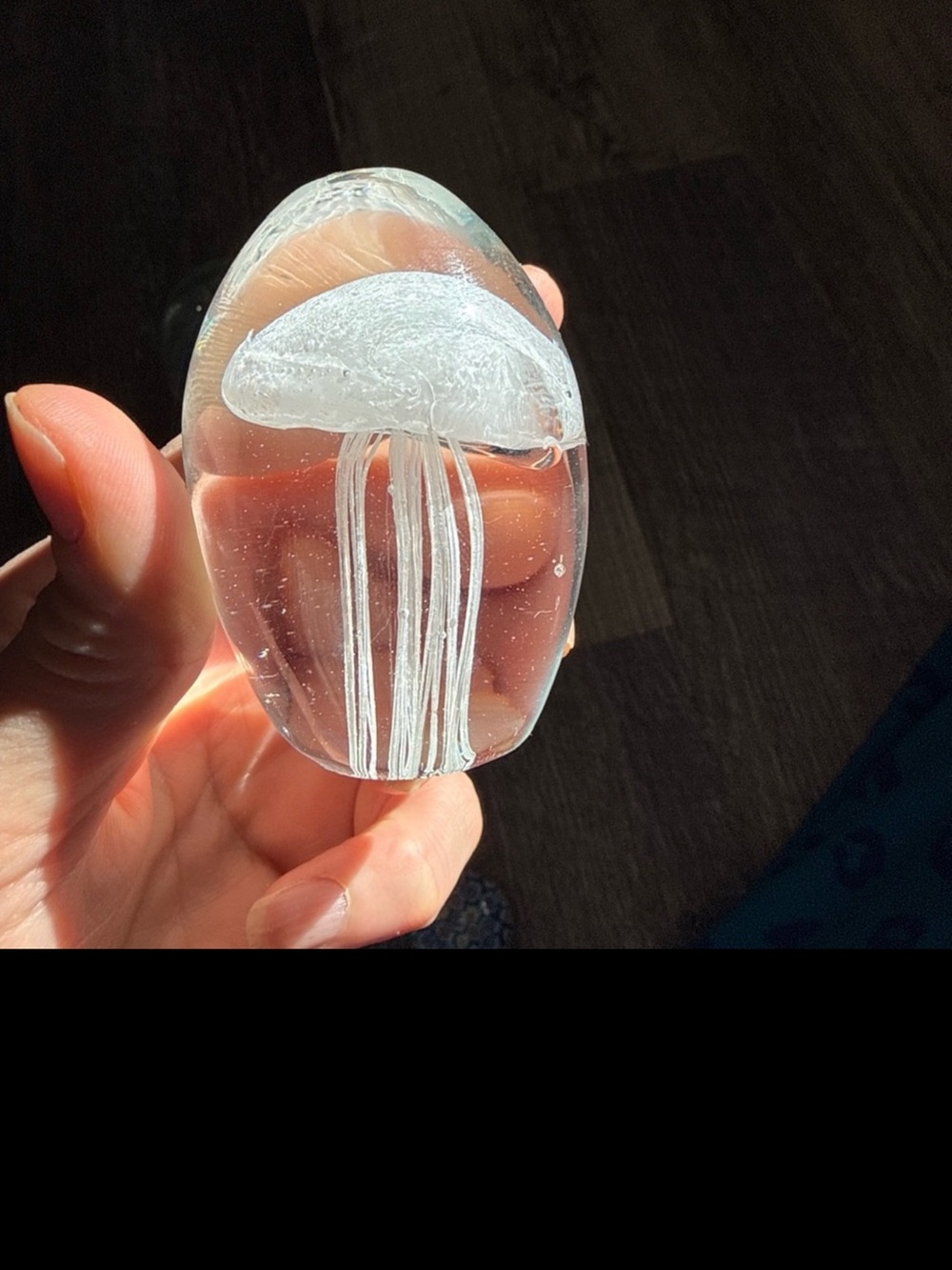 Source Unknown Clear Glass Jellyfish Paperweight